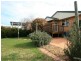 Orange NSW 2800