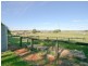 Millthorpe NSW 2798
