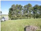 Millthorpe NSW 2798