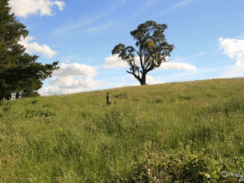 Millthorpe NSW 2798
