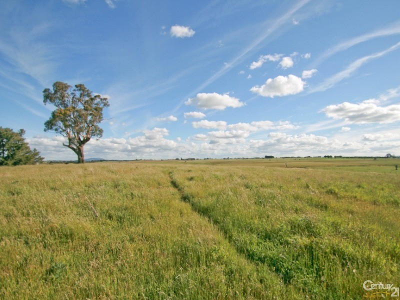 Millthorpe NSW 2798
