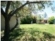 Orange NSW 2800