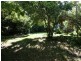 Orange NSW 2800