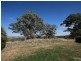 Orange NSW 2800