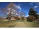Orange NSW 2800