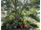 102 Matthews Avenue, Orange NSW 2800