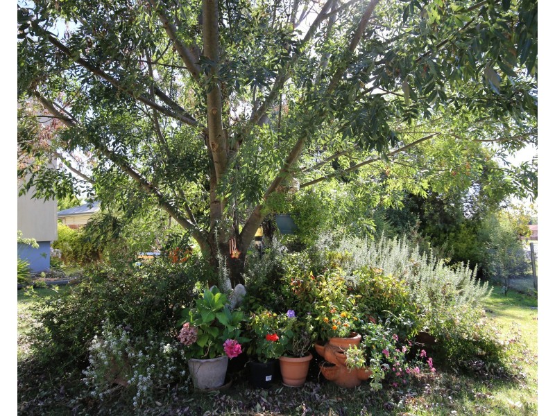 102 Matthews Avenue, Orange NSW 2800