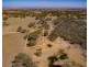 LOT 313 PALING YARDS LOOP ROAD CUDAL, Orange NSW 2800