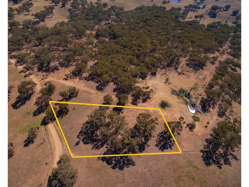 LOT 313 PALING YARDS LOOP ROAD CUDAL, Orange NSW 2800
