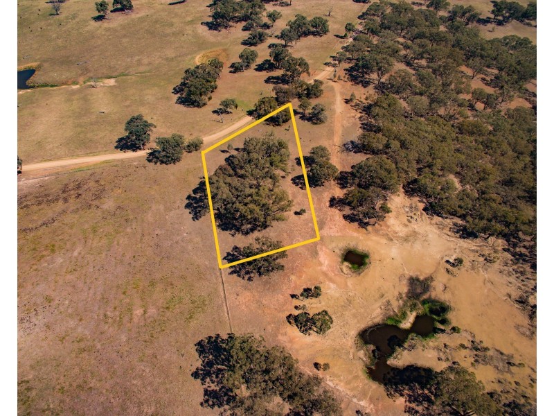 LOT 313 PALING YARDS LOOP ROAD CUDAL, Orange NSW 2800