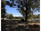 336 Lower Lewis Ponds Road, Clifton Grove, Orange NSW 2800