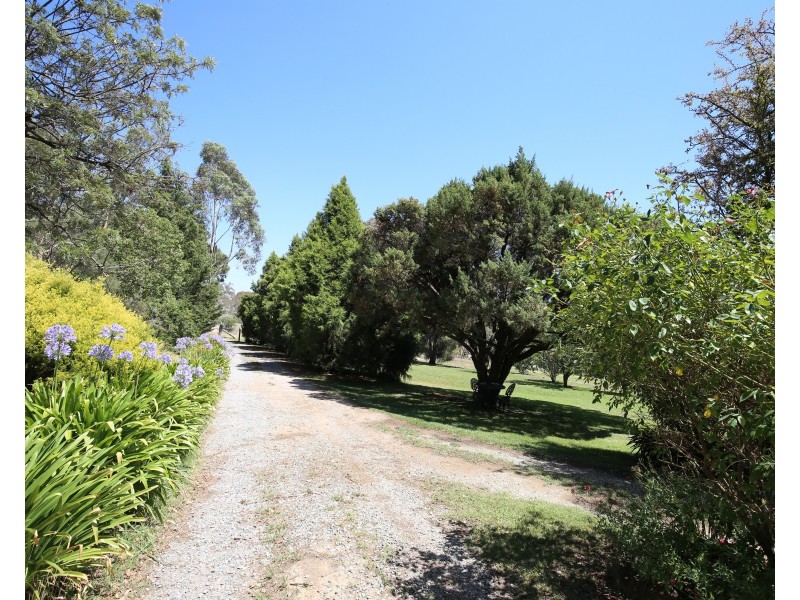 336 Lower Lewis Ponds Road, Clifton Grove, Orange NSW 2800