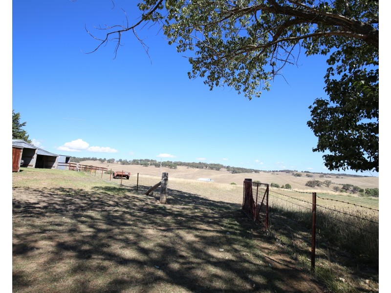 166 Murphy Lane, Orange NSW 2800