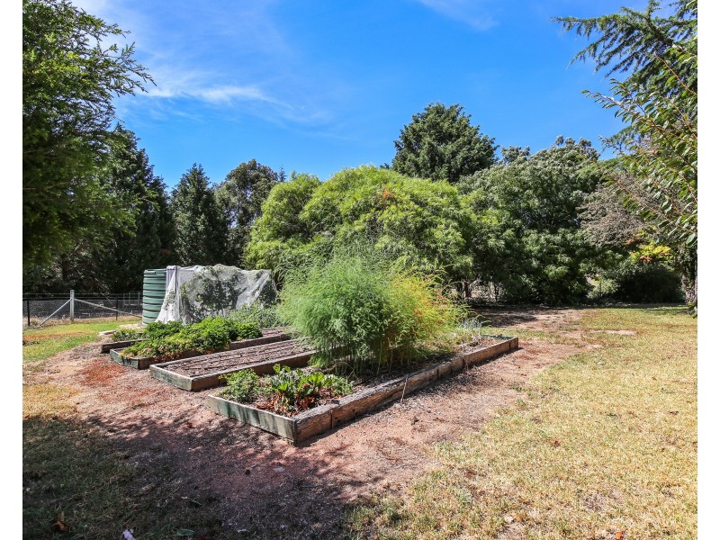 9 The Billabong Clifton Grove, Orange NSW 2800