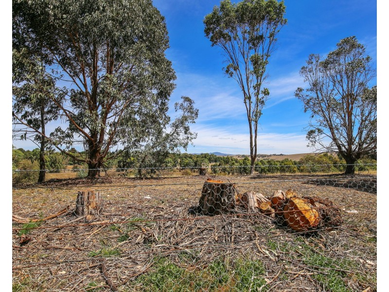 9 The Billabong Clifton Grove, Orange NSW 2800