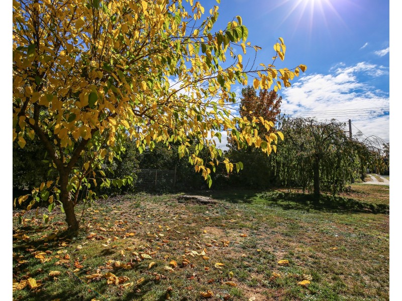 16 Ophir Street, Orange NSW 2800