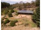 4 The Overflow Clifton Grove, Orange NSW 2800
