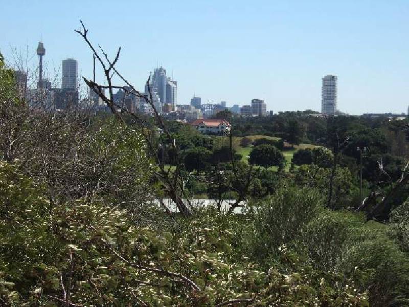 20 Boronia Street, Kensington NSW 2033