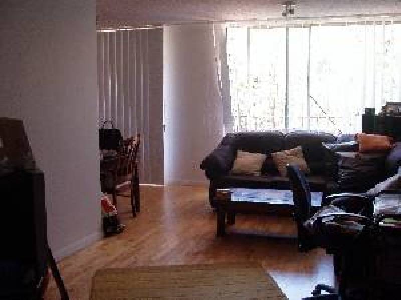 14 Bligh Place, Randwick NSW 2031