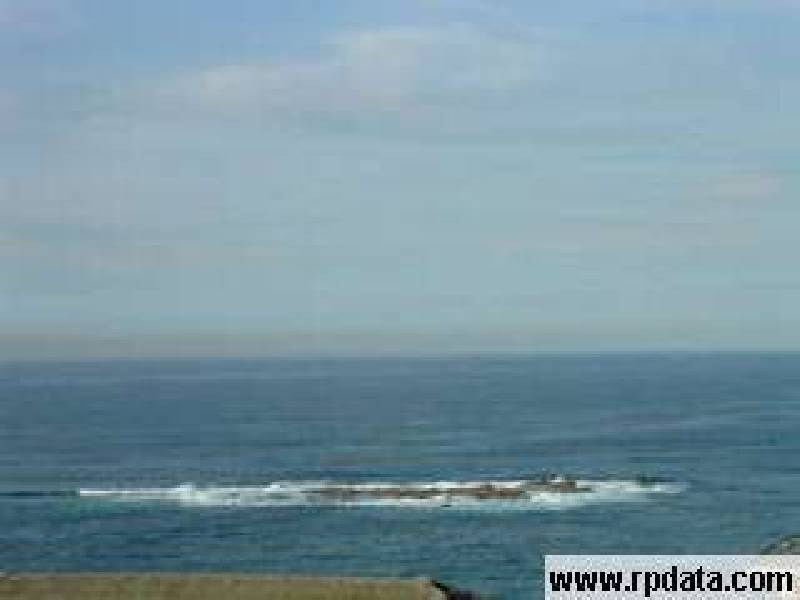 251 OBERON STREET, Coogee NSW 2034