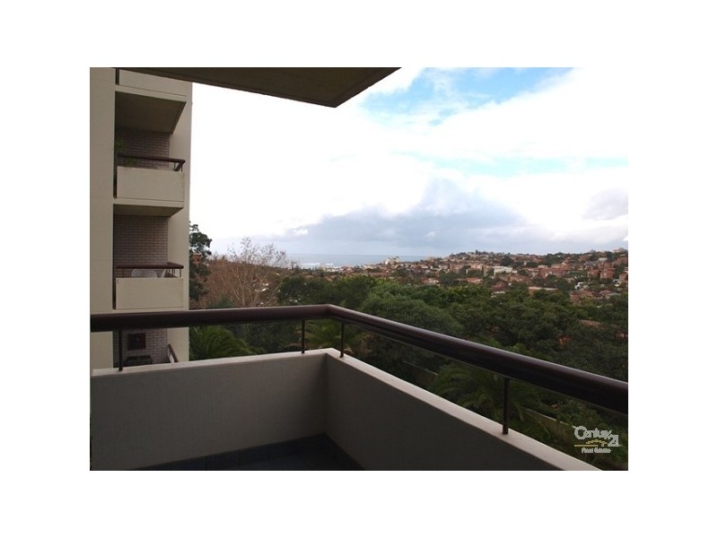 17/244 Alison Road, Randwick NSW 2031