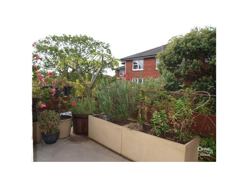 3/63 Arthur Street, Randwick NSW 2031
