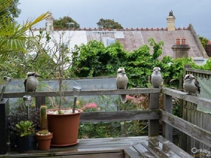 18 Cables Place, Waverley NSW 2024