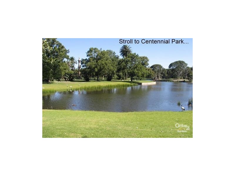 2/21 Clovelly Road, Randwick NSW 2031