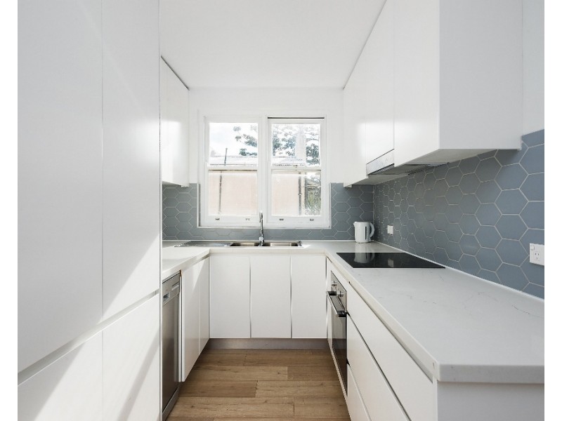 8/61 Avoca Street, Randwick NSW 2031