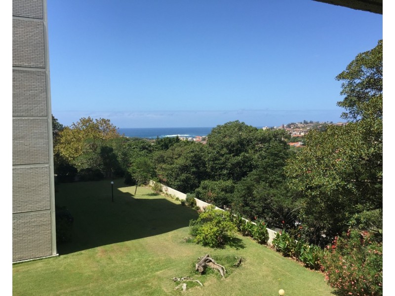 85/244 Alison Road, Randwick NSW 2031