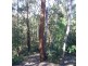 27 Springwood Avenue, Springwood NSW 2777