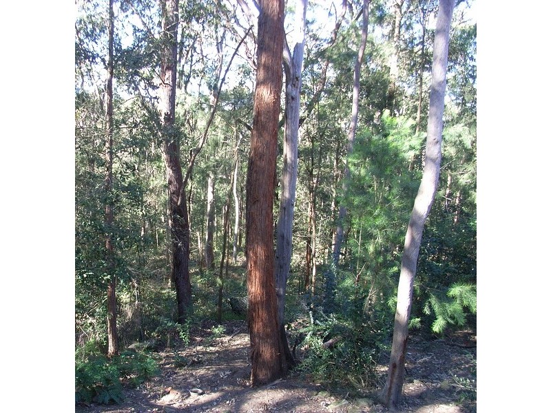 27 Springwood Avenue, Springwood NSW 2777