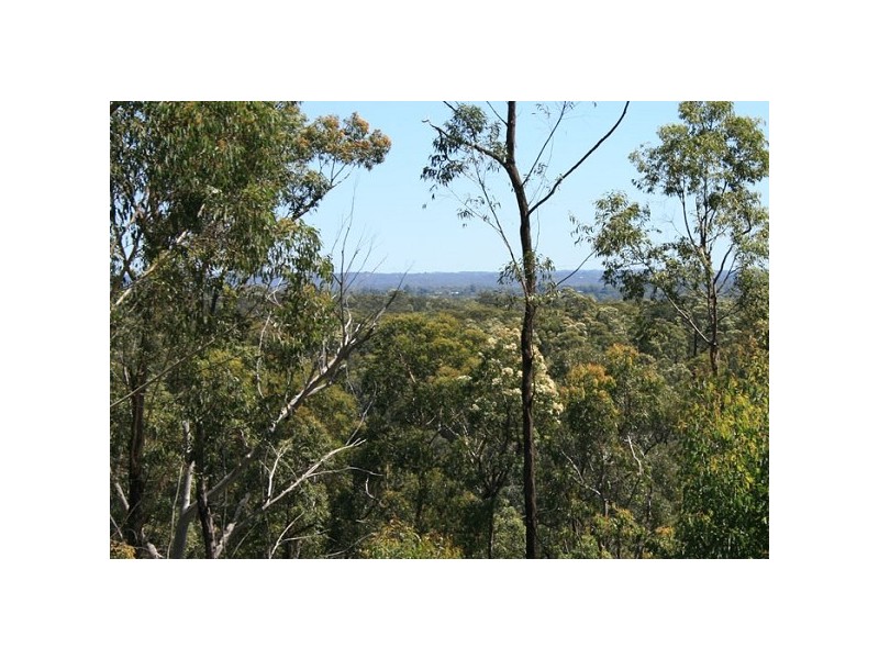 Yellow Rock NSW 2777