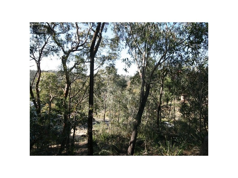 71 Pimelea Dr, Woodford NSW 2778