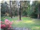 Springwood NSW 2777
