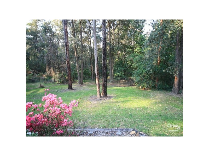 Springwood NSW 2777