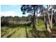 Hazelbrook NSW 2779