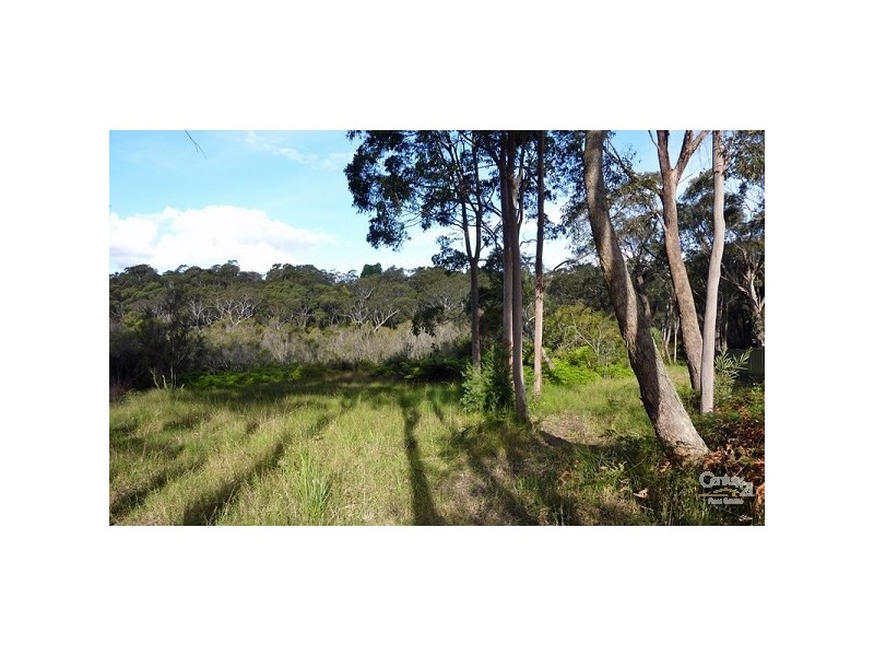 Hazelbrook NSW 2779