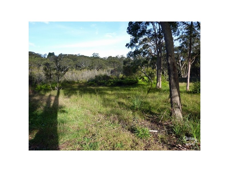 Hazelbrook NSW 2779