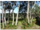 Hazelbrook NSW 2779