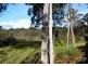 Hazelbrook NSW 2779