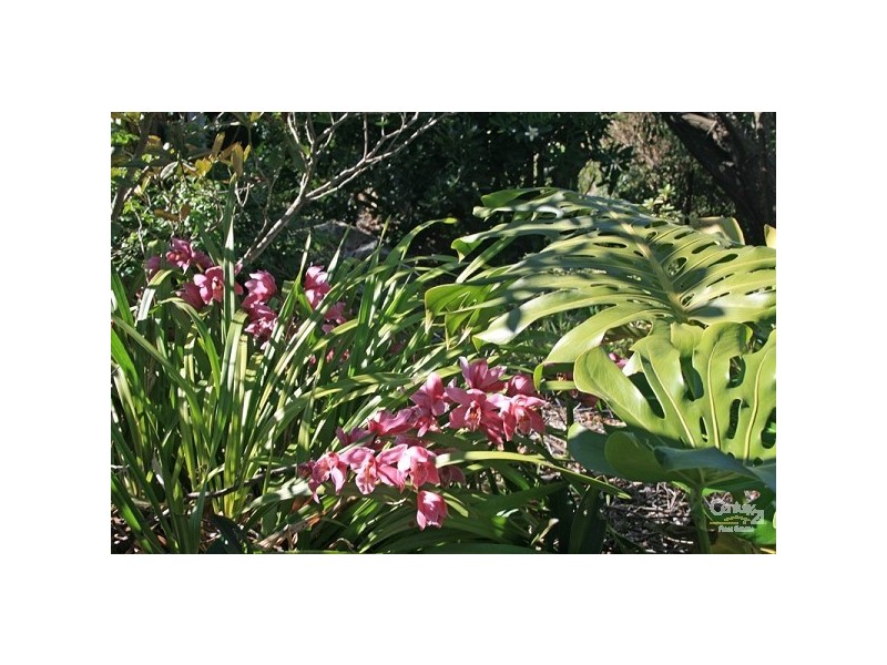 Faulconbridge NSW 2776