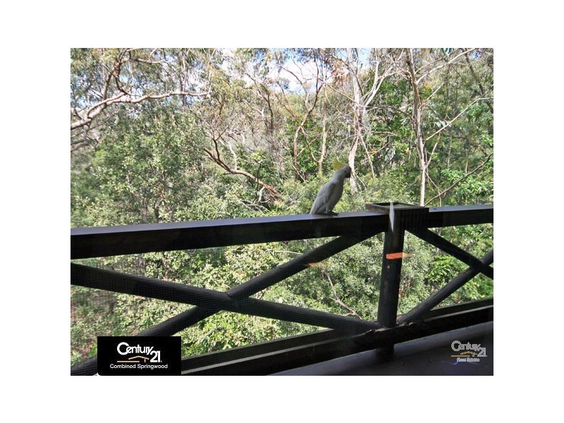 Faulconbridge NSW 2776