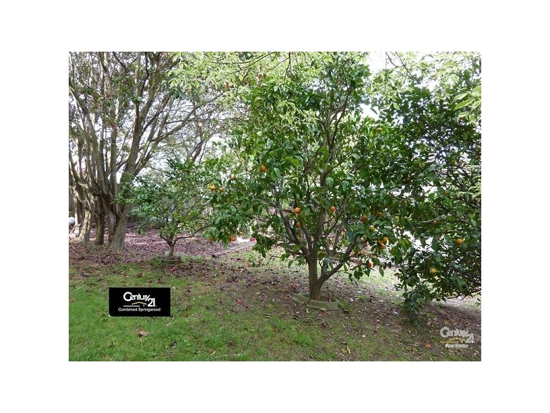 35 John Street, Hazelbrook NSW 2779