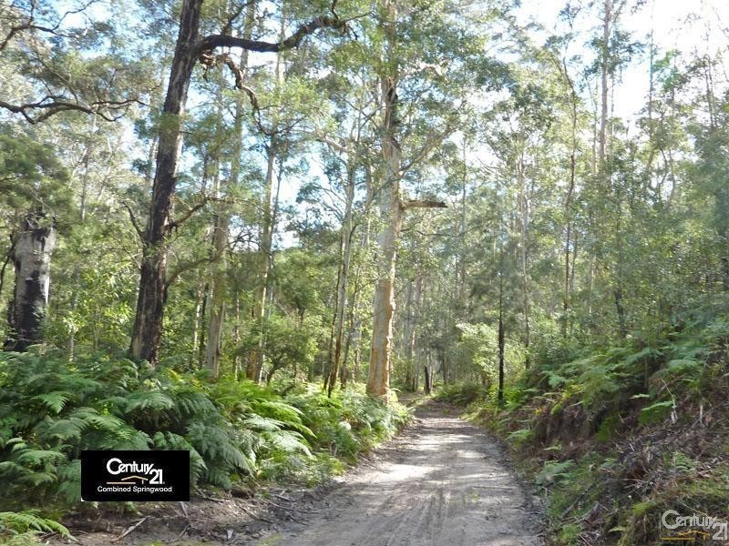 Yellow Rock NSW 2777