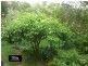 Faulconbridge NSW 2776