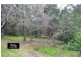 Blaxland NSW 2774
