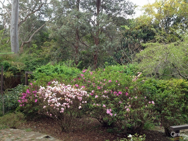 27 Killara Cres, Winmalee NSW 2777