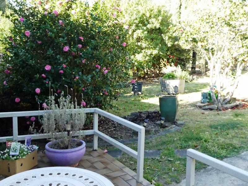 3 Fels Ave, Springwood NSW 2777