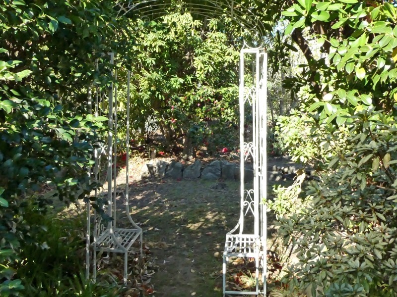 3 Fels Ave, Springwood NSW 2777